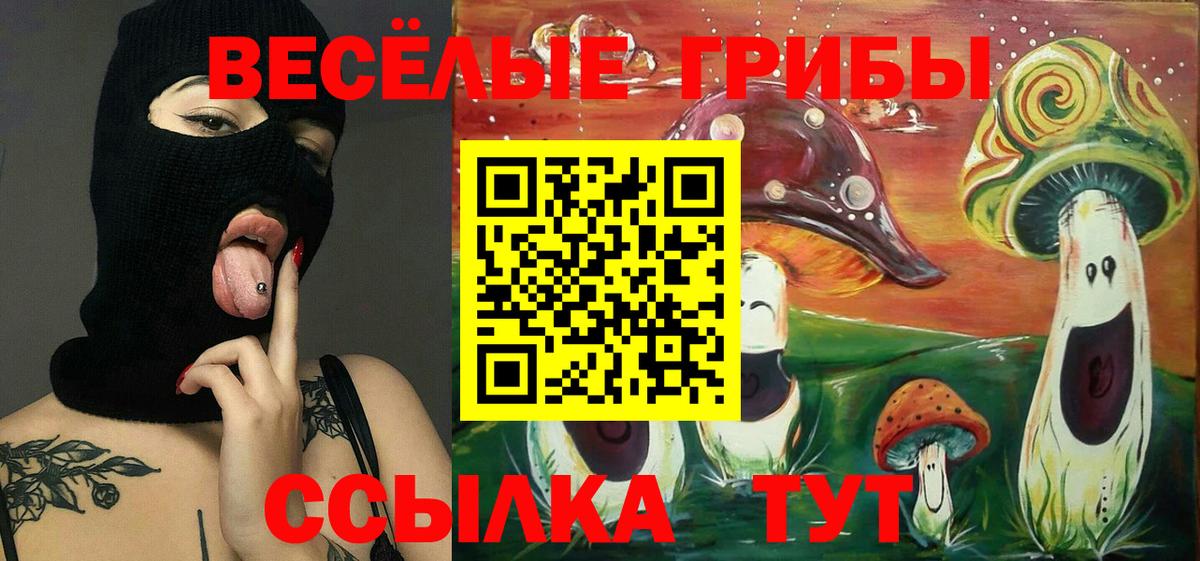 Галлюциногенные грибы Magic Shrooms  где купить наркотик  Майский  Вход с VPN  Галлюциногенные грибы MAGIC MUSHROOMS 